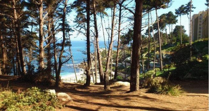 Departamento Algarrobo Condominio Laguna Dış mekan fotoğraf